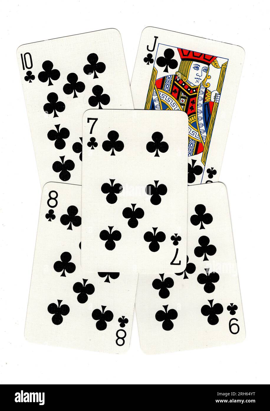 Poker mano de las cartas que muestran un color de palos de un siete a un  gato Fotografía de stock - Alamy