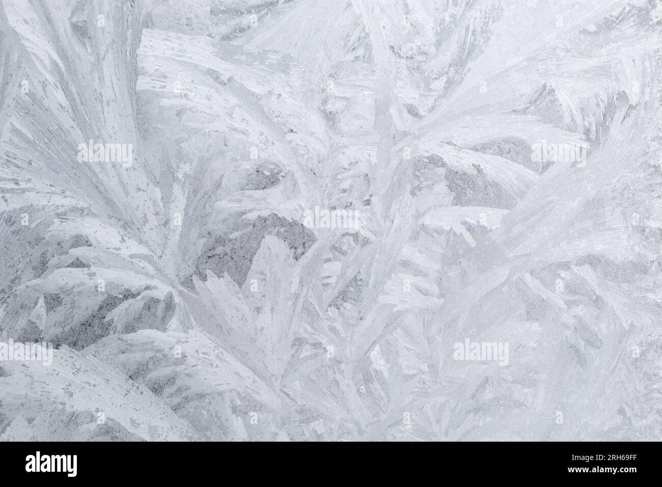 Patrones de hielo abstractos congelados en ventana de vidrio de un solo panel en invierno Foto de stock