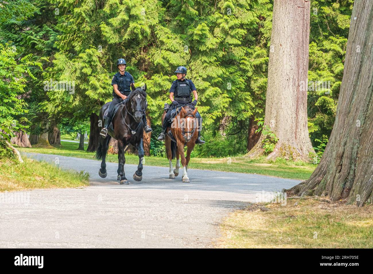 Dos policías de Vancouver patrullan Stanley Park a caballo. Foto de stock
