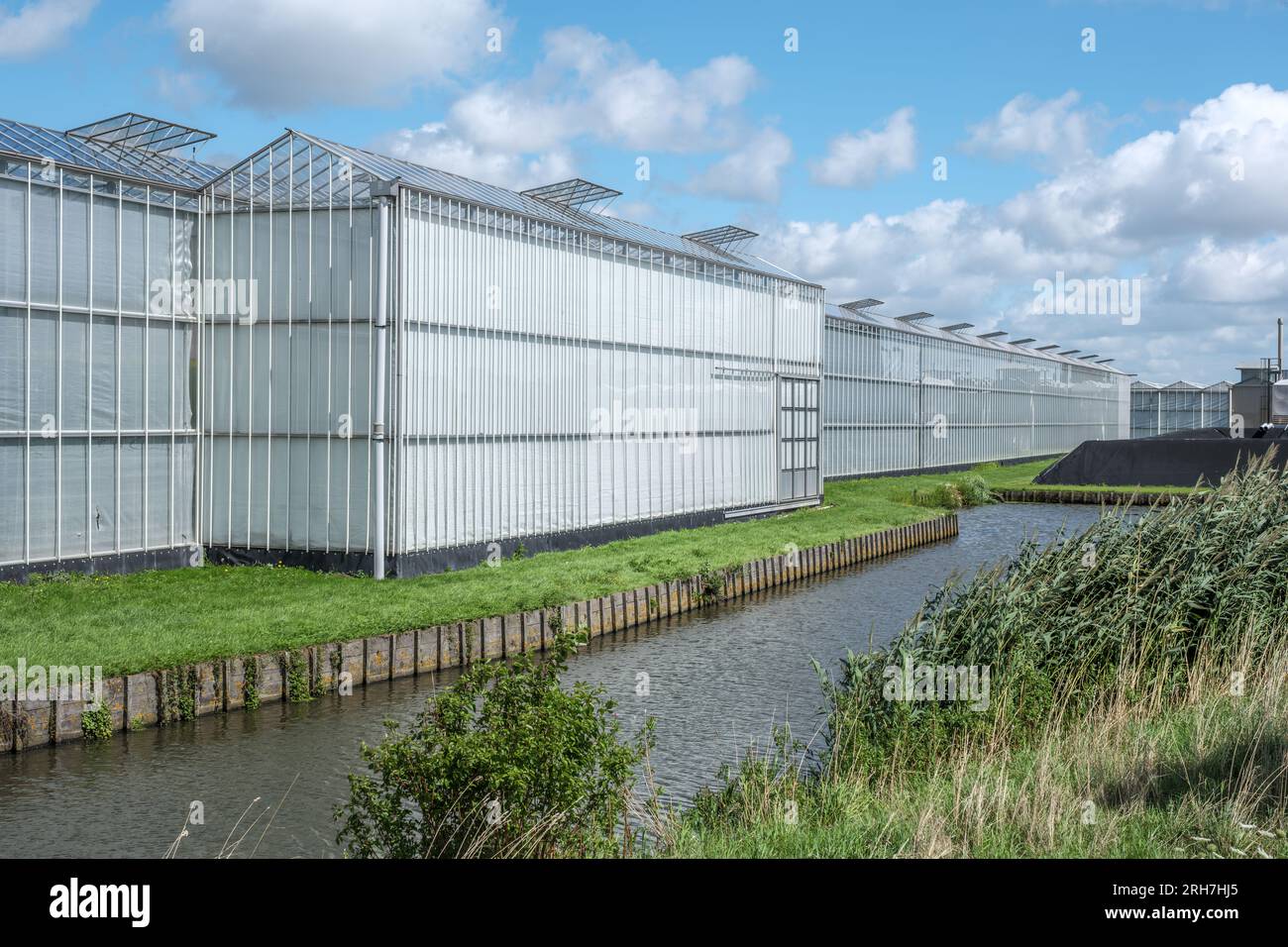 Invernadero Industrial Exterior De Los Países Bajos Imagen de archivo -  Imagen de crecimiento, europa: 265743045