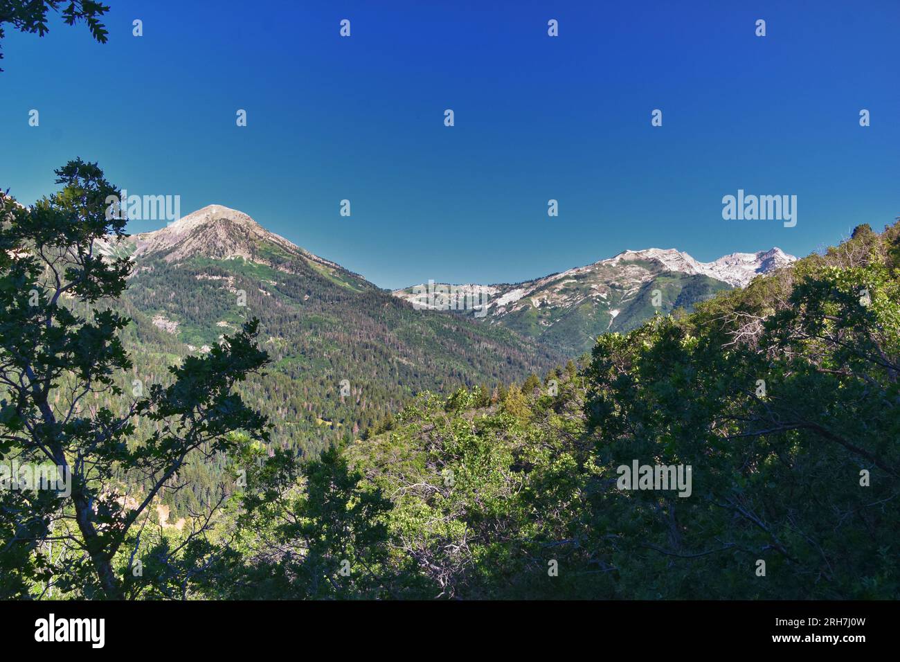 Tibble Fork senderismo vistas desde el sendero Lone Peak Wilderness Uinta Wasatch Cache National Forest, Rocky Mountains, Utah. Estados Unidos. Foto de stock