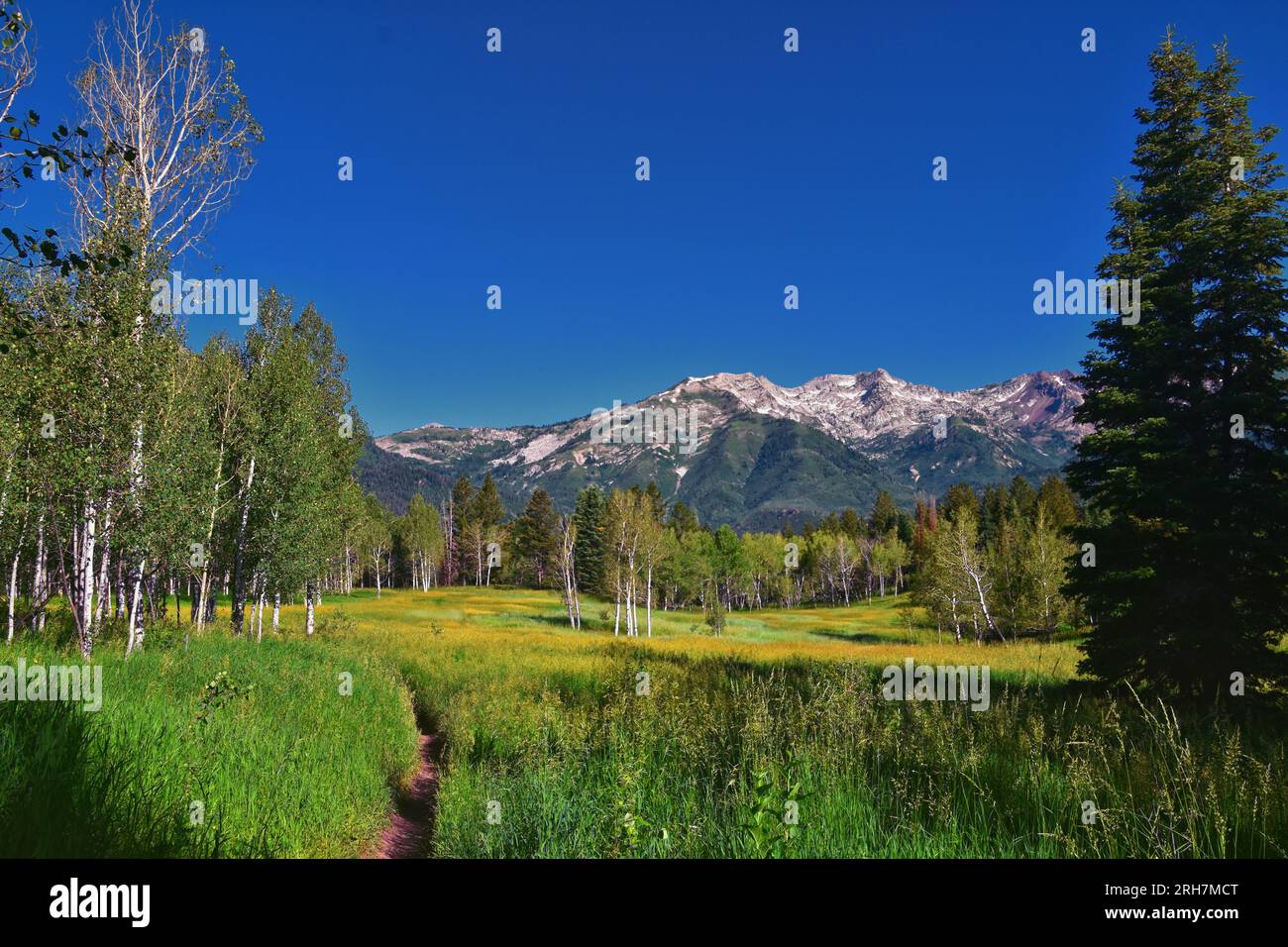 Tibble Fork senderismo vistas desde el sendero Lone Peak Wilderness Uinta Wasatch Cache National Forest, Rocky Mountains, Utah. Estados Unidos. Foto de stock