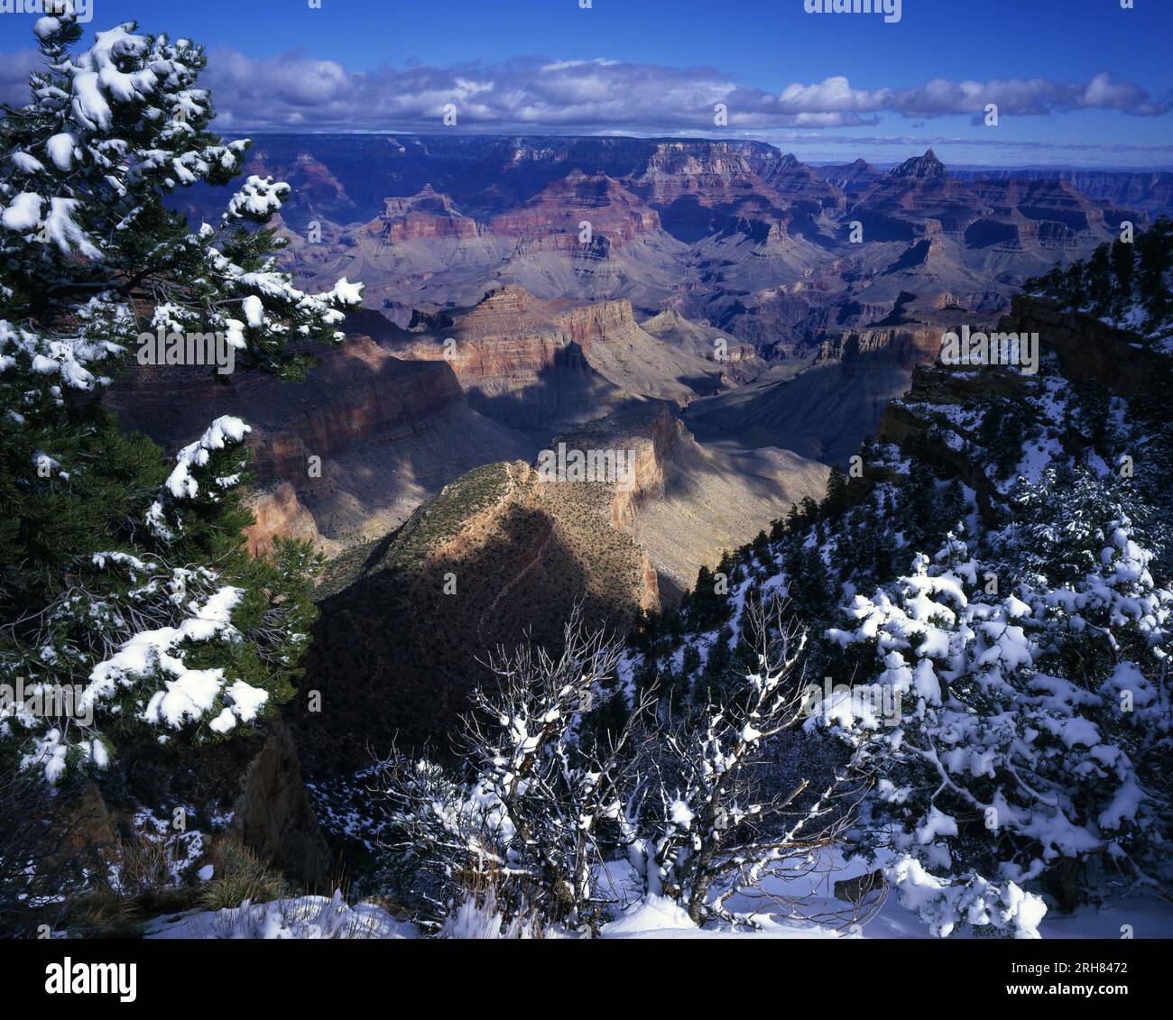 Borde sur del Gran Cañón. Norte de Arizona Foto de stock