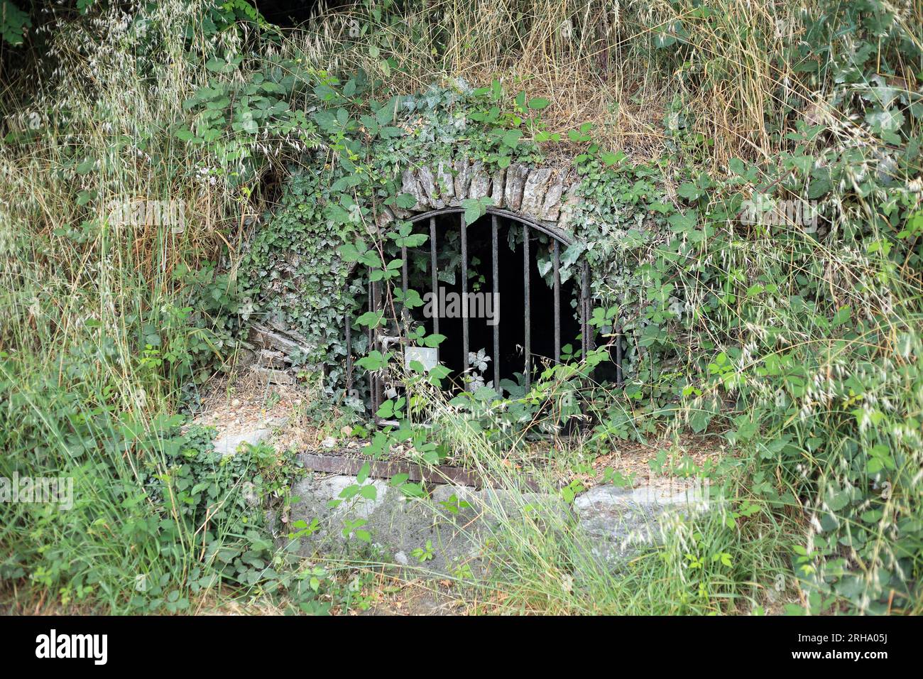 Carretera bien cubierta de malezas en Rue du Bindo, Sarzeau, Morbihan, Bretaña, Francia Foto de stock