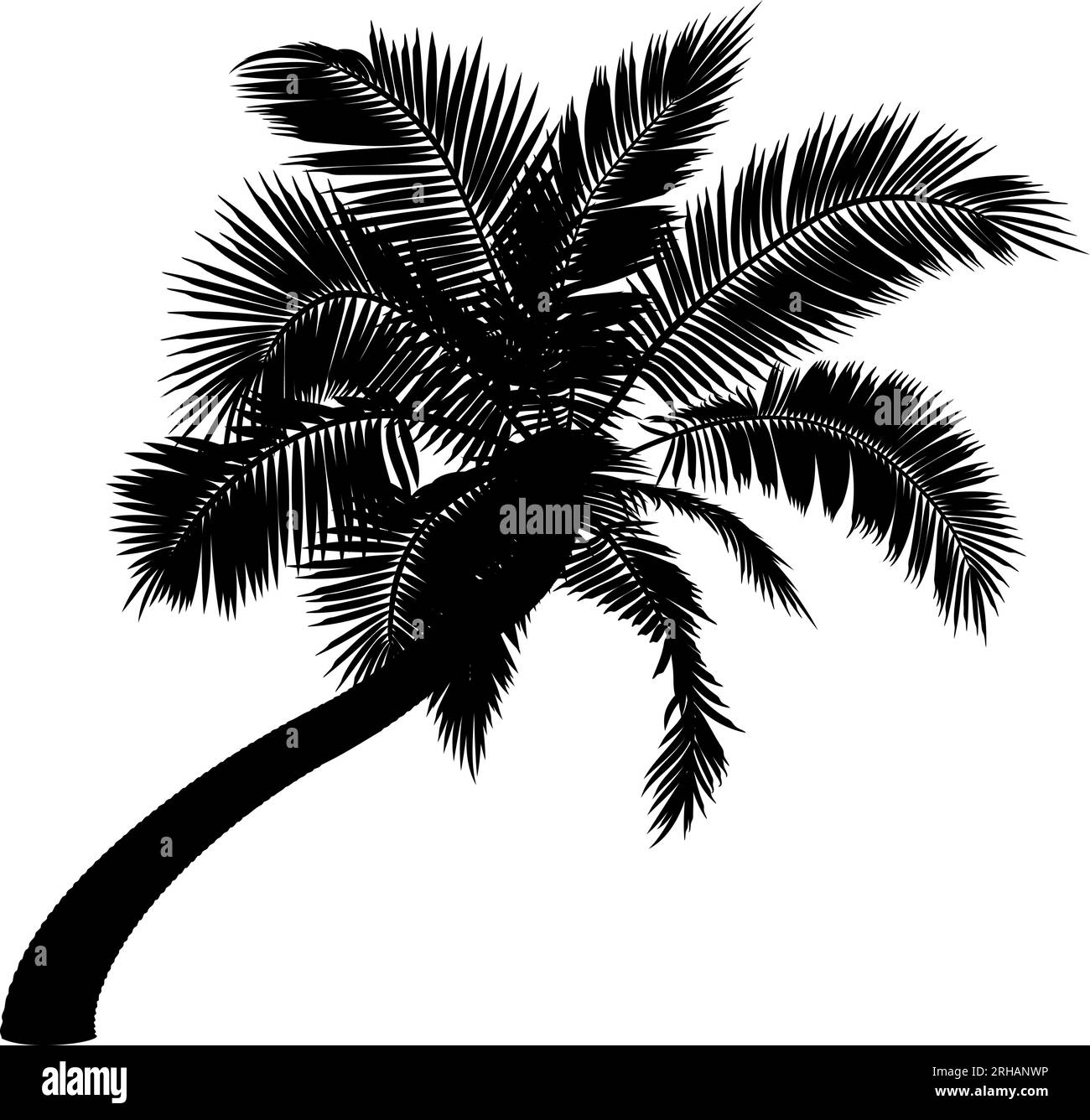 Forma de palmera de coco doblada. Ilustración vectorial de palmera inclinada. Imagen del tronco de la palmera tropical, follaje, ramas, hojas en vector. Ilustración del Vector