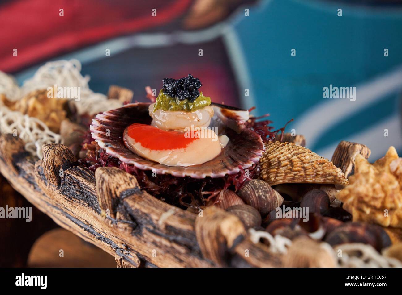 Conchas de Mar decoración de fondo. Conchas de Mar hermosa decoración de  fondo Fotografía de stock - Alamy