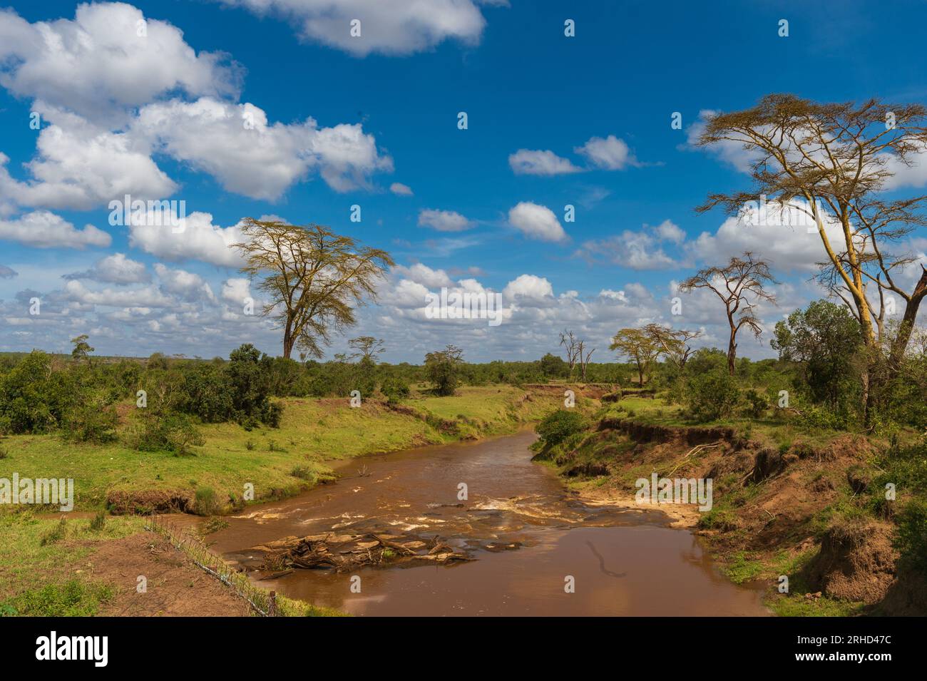 OL Pejeta Conservancy paisaje, Kenia, África Foto de stock