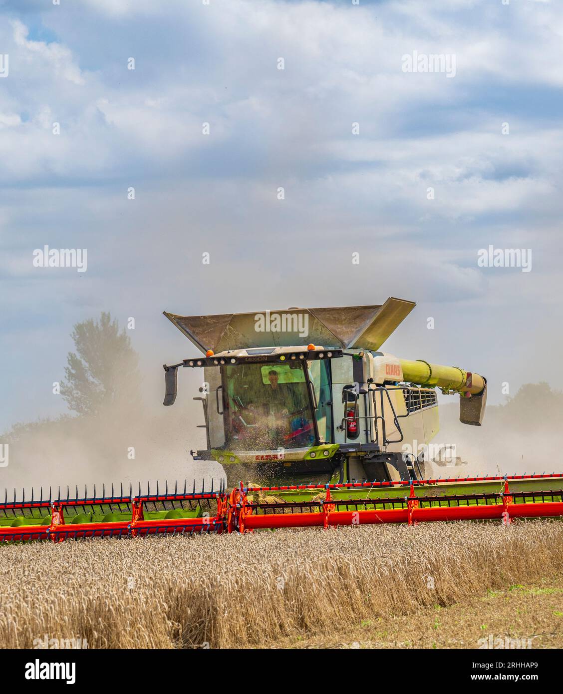 Una cosechadora Claas que trabaja para cosechar el maíz en un día de verano en el Reino Unido Foto de stock