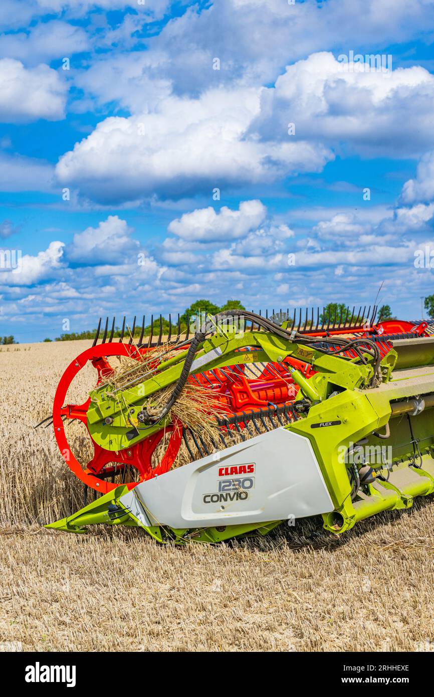 Una cosechadora Claas que trabaja para cosechar el maíz en un día de verano en el Reino Unido Foto de stock