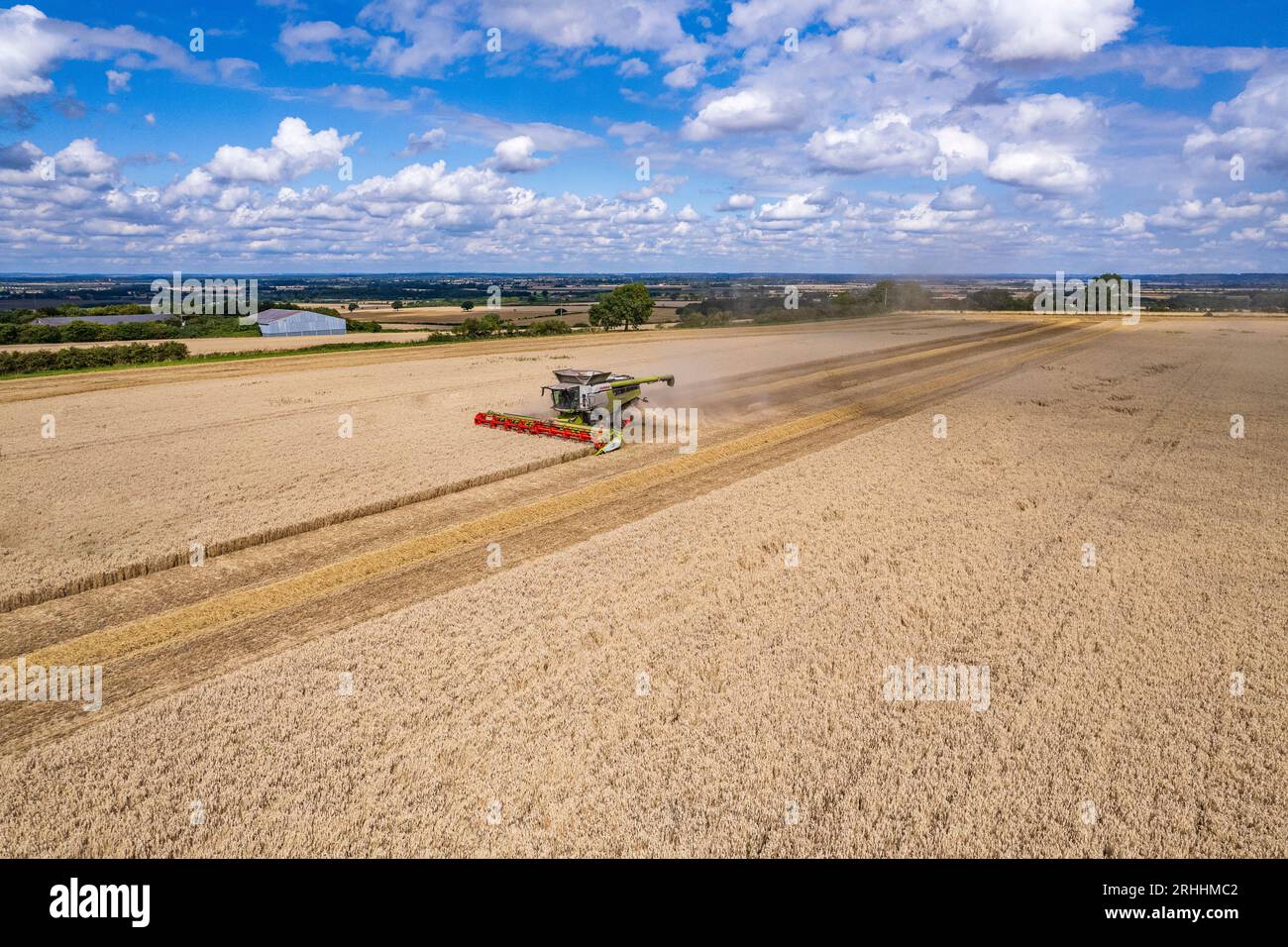 Una cosechadora Claas que trabaja para cosechar el maíz en un día de verano en el Reino Unido - Drone Photography Foto de stock