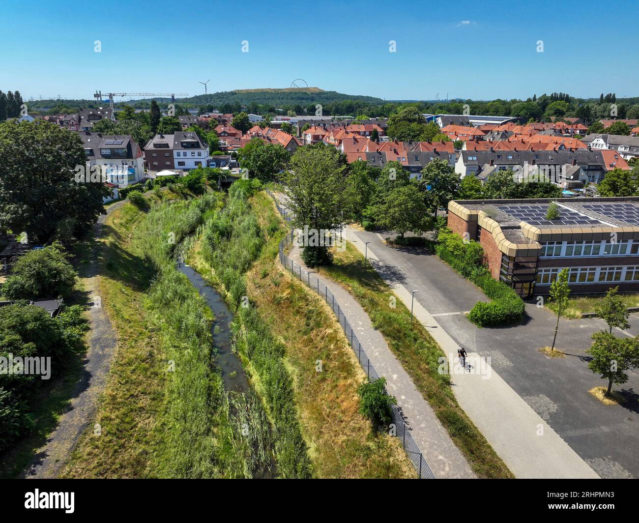 Recklinghausen, Renania del Norte-Westfalia, Alemania - Hellbach renaturalizado, curso de agua renaturalizado Foto de stock