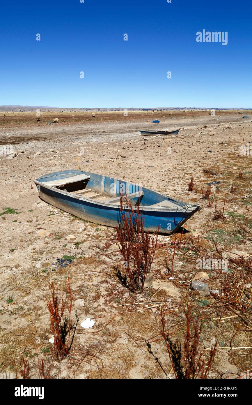 Lago Titicaca, BOLIVIA; 18 de agosto 2023: Botes de remo de madera en la costa seca de la bahía de Cohana en el lago interior / Huiñay Marka (la parte más pequeña del lago Titicaca) cerca del pueblo de Cohana. Los niveles de agua en el Lago Titicaca se están acercando al nivel récord bajo establecido en 1996, el más bajo desde que el servicio meteorológico de Bolivia (Senhami) comenzó a mantener registros en 1974. Muchos culpan al cambio climático; los últimos años han sido más secos de lo normal y El Niño se está fortaleciendo actualmente en el Océano Pacífico frente a América del Sur. Foto de stock