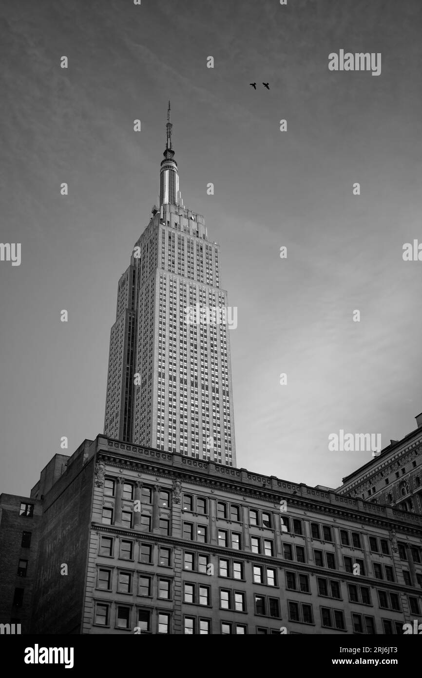 Una impresionante imagen en blanco y negro del Empire State Building con un avión comercial sobrevolando en primer plano Foto de stock