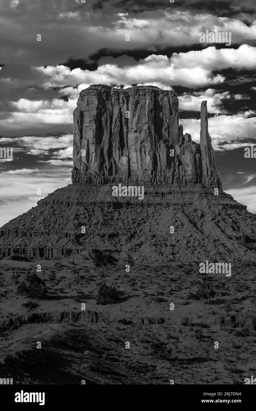 Formación East Mitten, B&W, Monument Valley Arizona #9512 Foto de stock