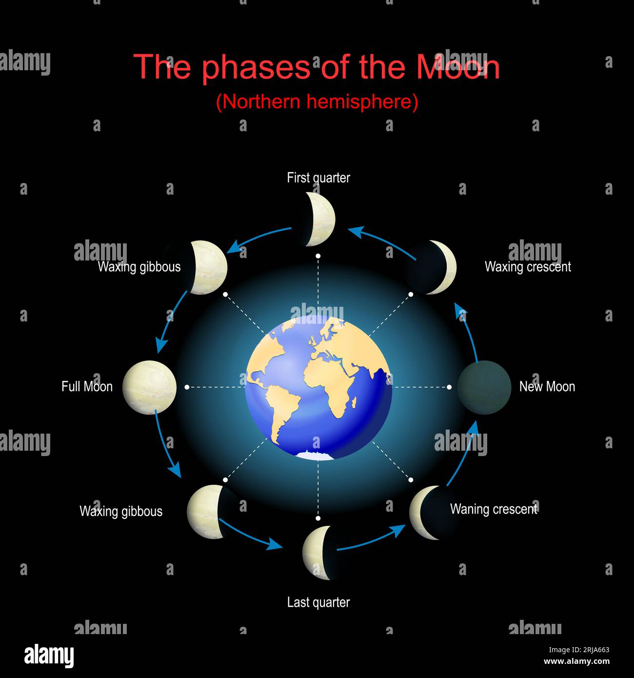 Las fases de la Luna para el hemisferio norte. Ciclo lunar. Las fases