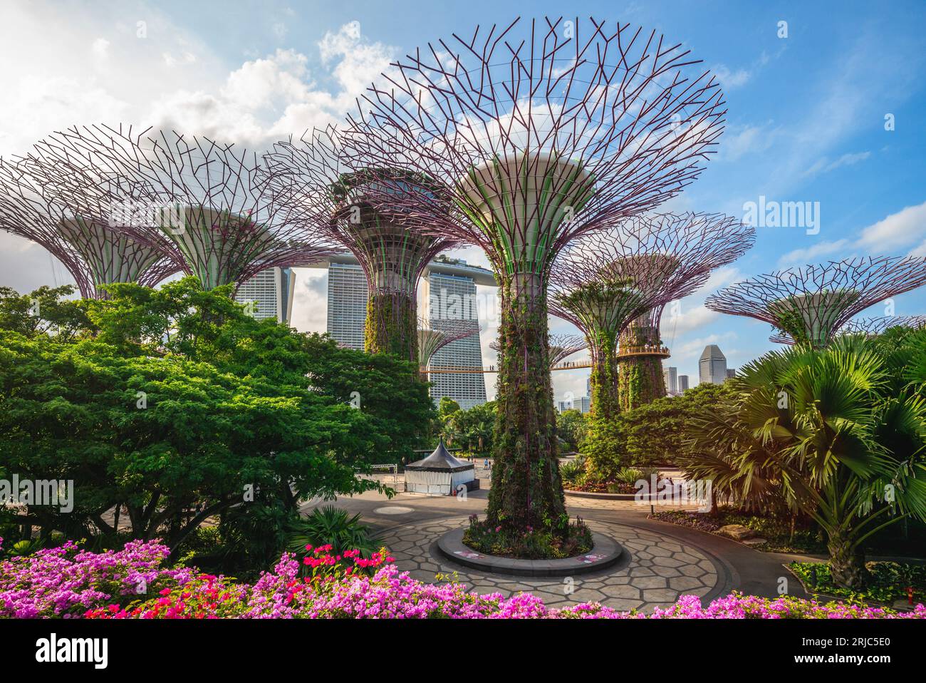 6 de febrero de 2020: Supertree grove en Marina Bay Garden en singapur, fueron concebidos y diseñados por Grant Associates. Cada superárbol tiene su propia planta Foto de stock