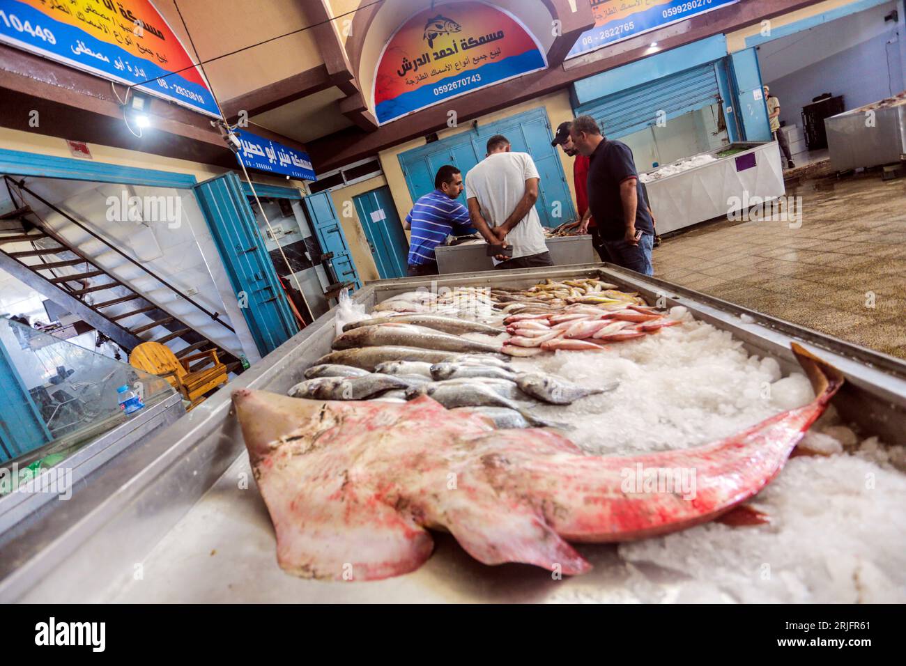 Pesque en el mercado central de pescado llamado 'Al-Hisba' en la ciudad de Gaza después de regresar de un viaje de pesca desde el mar Mediterráneo, en Gaza. Los pescadores palestinos son objeto de violaciones diarias por parte de los barcos israelíes, y hoy es una posición en solidaridad con los pescadores en el puerto de Gaza. Foto de stock