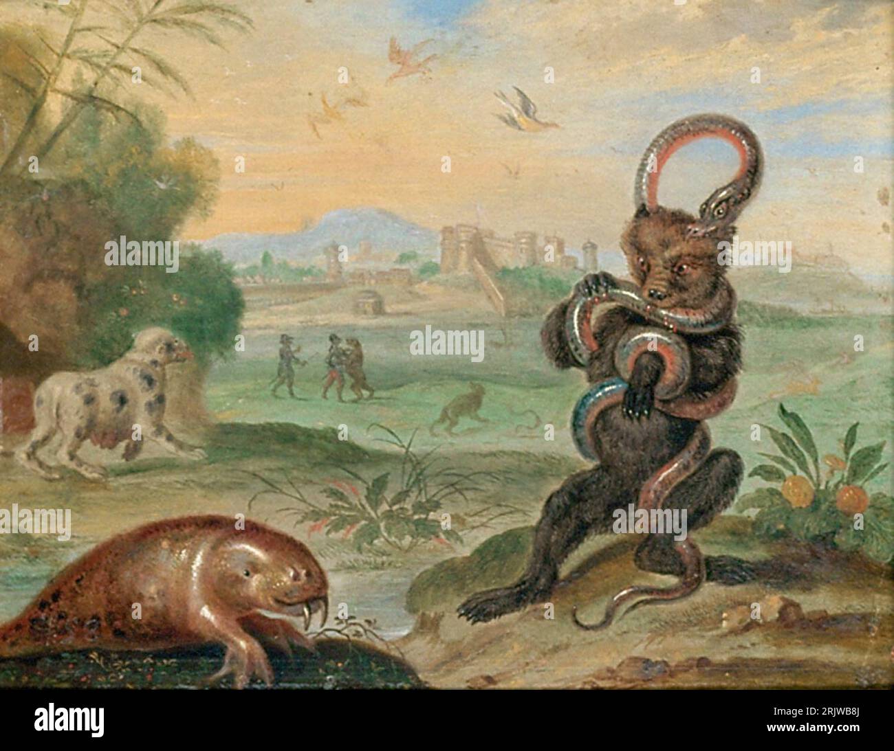 Fernando van kessel el viejo fotografías e imágenes de alta resolución