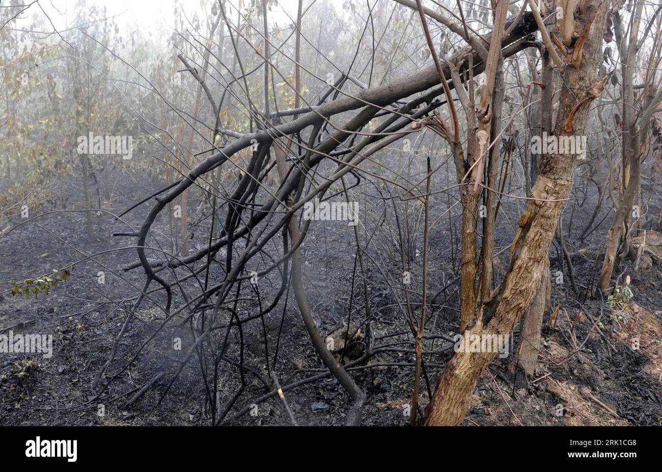 Rauch vom waldbrand fotografías e imágenes de alta resolución Alamy