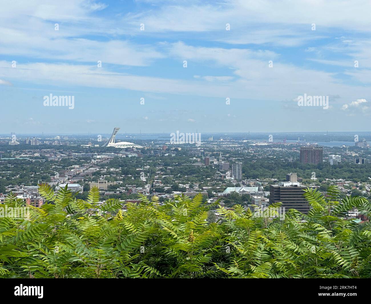 Elle lumiere en foret fotografías e imágenes de alta resolución Alamy