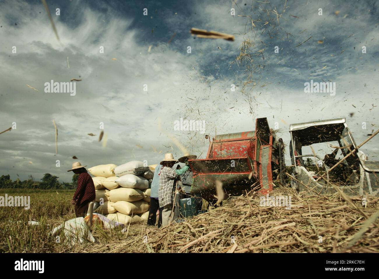 Bildnummer: 54686108 Datum: 29.11.2010 Copyright: Imago/Xinhua (101130) -- BULACAN, 30 de noviembre de 2010 (Xinhua) -- Los agricultores cargan sus cultivos recién cosechados a un trazador antes de moler en una granja en la provincia de Bulacan, al norte de la capital Manila, Filipinas, 29 de noviembre de 2010. Los agricultores agradecen que puedan cosechar justo a tiempo y con la ayuda de la tecnología agrícola moderna y las técnicas agrícolas. Bulacan es uno de los mayores productores de arroz para la seguridad alimentaria nacional en el país. (Xinhua/Jon Fabrigar)(axy) FILIPINAS-ARROZ-COSECHA PUBLICATIONxNOTxINxCHN Wirtschaft kbdig xkg 2 Foto de stock