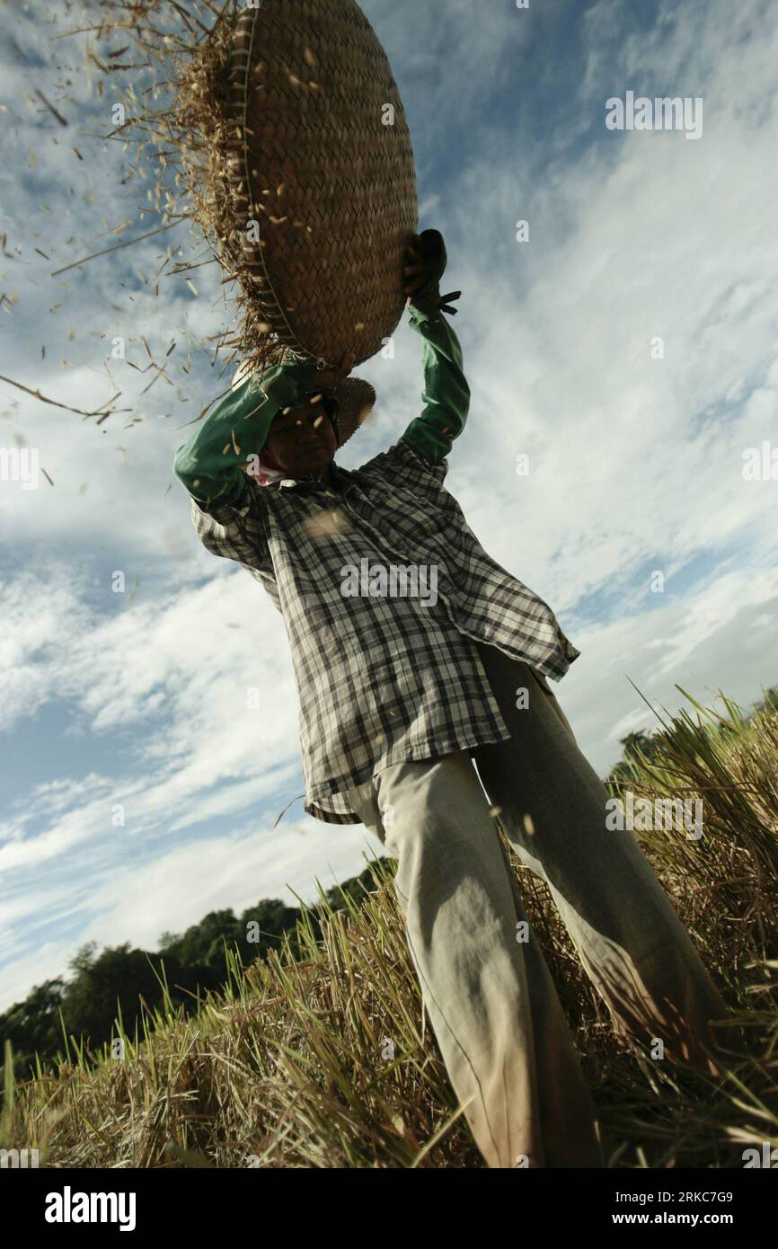 Bildnummer: 54686110 Datum: 29.11.2010 Copyright: Imago/Xinhua (101130) -- BULACAN, 30 de noviembre de 2010 (Xinhua) -- Un agricultor separa manualmente el grano de arroz de su heno durante la cosecha en una granja en la provincia de Bulacan, al norte de la capital Manila, Filipinas, 29 de noviembre de 2010. Los agricultores agradecen que puedan cosechar justo a tiempo y con la ayuda de la tecnología agrícola moderna y las técnicas agrícolas. Bulacan es uno de los mayores productores de arroz para la seguridad alimentaria nacional en el país. (Xinhua/Jon Fabrigar)(axy) FILIPINAS-ARROZ-COSECHA PUBLICATIONxNOTxINxCHN Wirtschaft kbdig xkg 20 Foto de stock