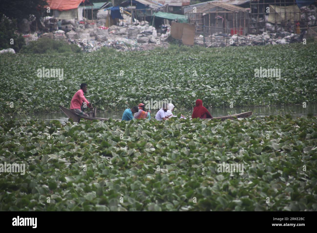 Dhaka Bangladesh Agosto 24,2023.Debido al jacinto de agua en el río Buriganga, la navegación está siendo interrumpida. Conductores de barcos y pasajeros que tienen trubl Foto de stock