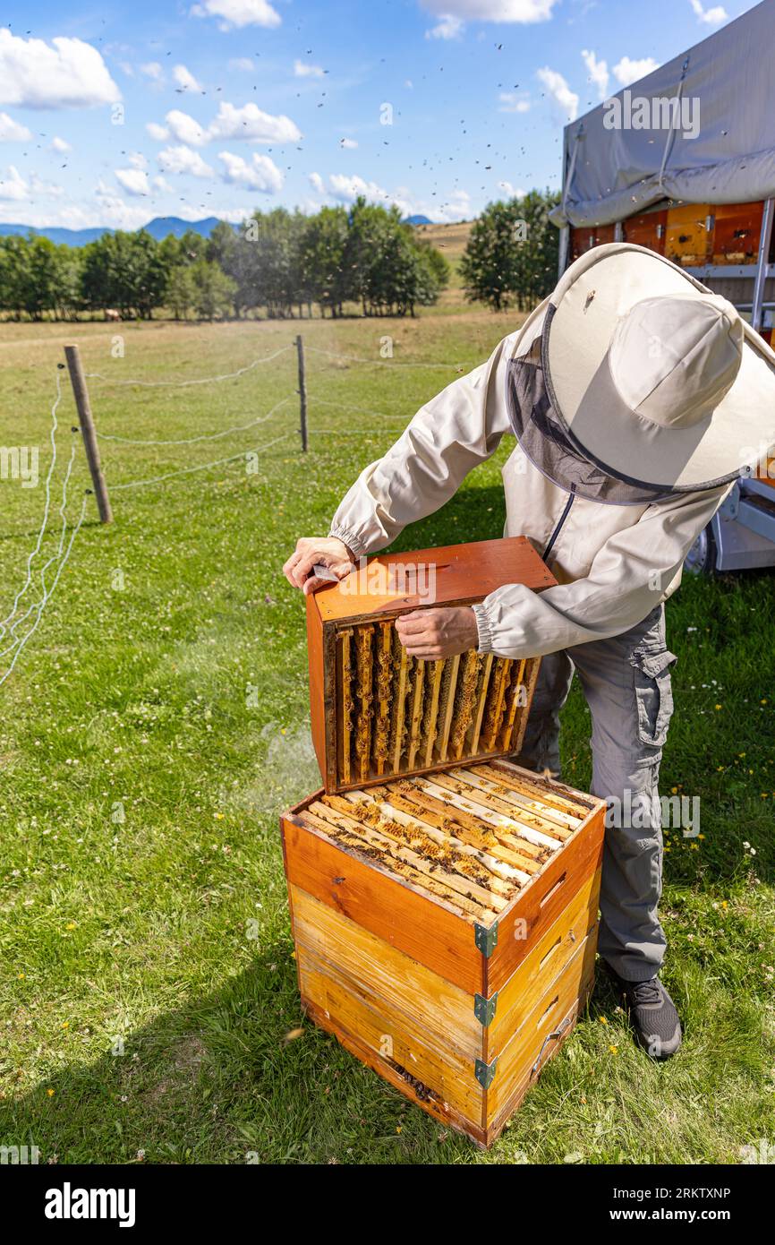 Apicultor sosteniendo el marco de la colmena lleno de miel Foto de stock