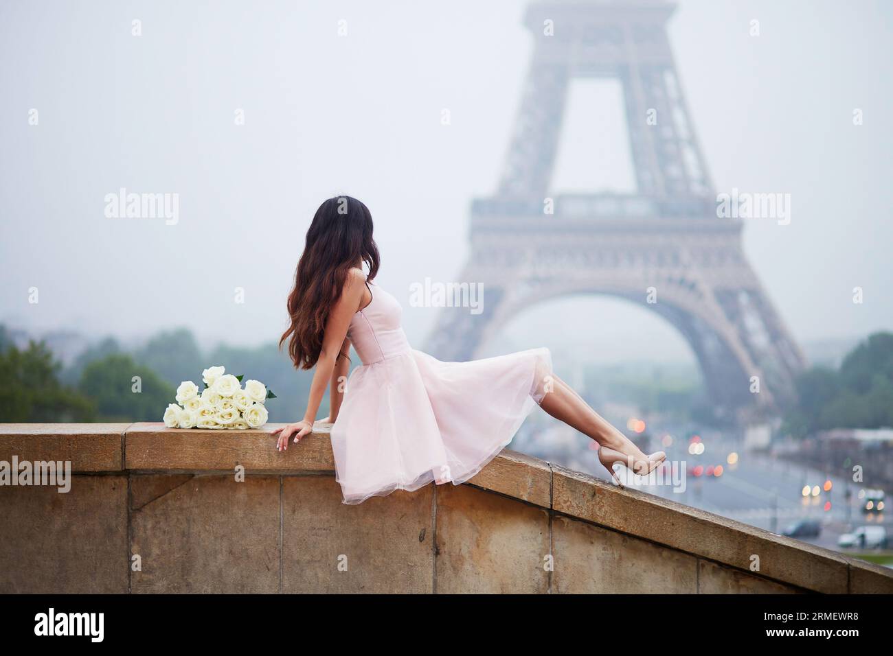 Mujer Parisina Elegante Vestido Tutú Rosado Con Rosas Blancas Que Se  Sientan Cerca De La Torre Eiffel En Trocadero Punto De Vista En París,  Francia Fotos, retratos, imágenes y fotografía de archivo