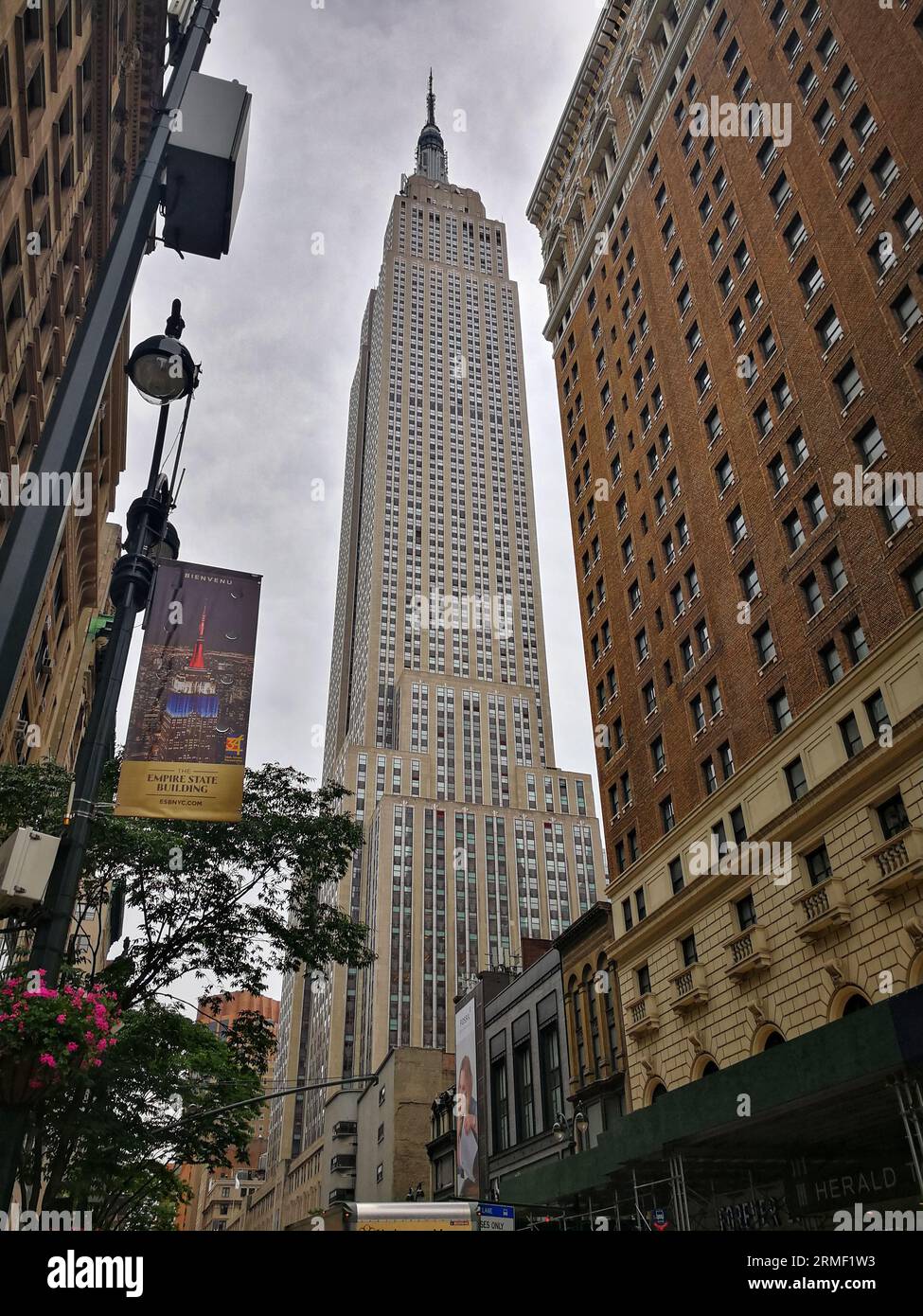 Esta foto muestra una vista del Empire State Building desde la calle en la ciudad de Nueva York. El edificio es alto e imponente, y domina el horizonte. Foto de stock