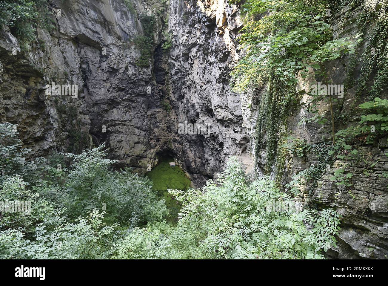 Hranice Abyss (Hranicka propast) es la cueva de pozo inundado más profunda  del mundo. Es un sumidero kárstico cerca de la ciudad de Hranice, República  Checa, agosto Fotografía de stock - Alamy