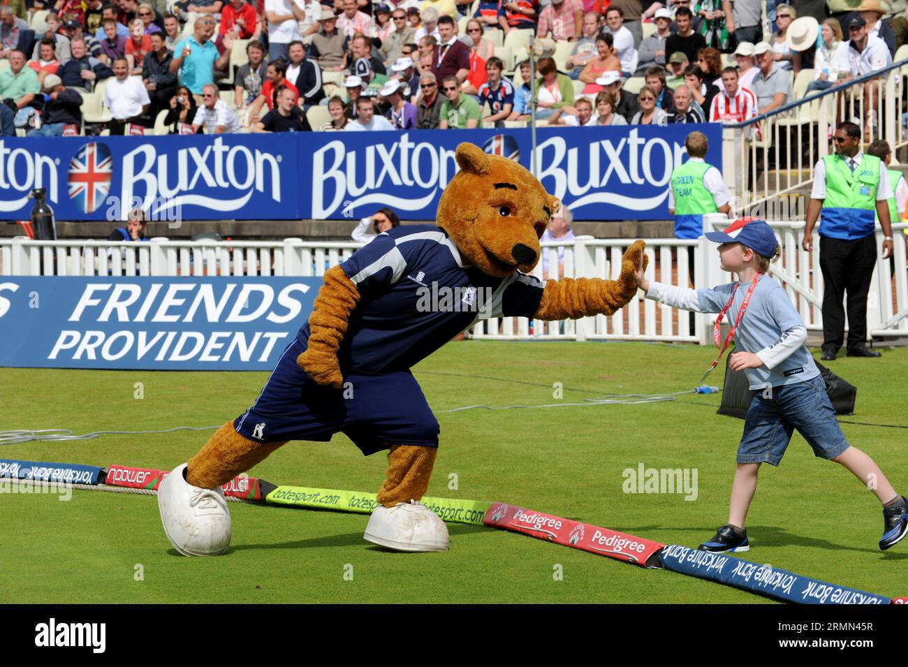 Birmingham Bears mascota de cricket Foto de stock