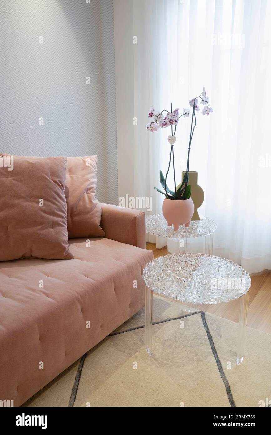 Sofá rosa oscuro con cuatro cojines grandes y uno pequeño, alfombra veige,  cortinas blancas y mesa de metacrilato con orquídea rosa, papel pintado,  piso de madera Fotografía de stock - Alamy