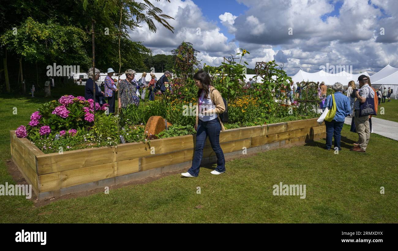 Los visitantes ven flores coloridas del jardín: Entrada al concurso de cama levantada hortícola, recinto ferial RHS Tatton Park Flower Show 2023, Cheshire, Inglaterra, Reino Unido. Foto de stock