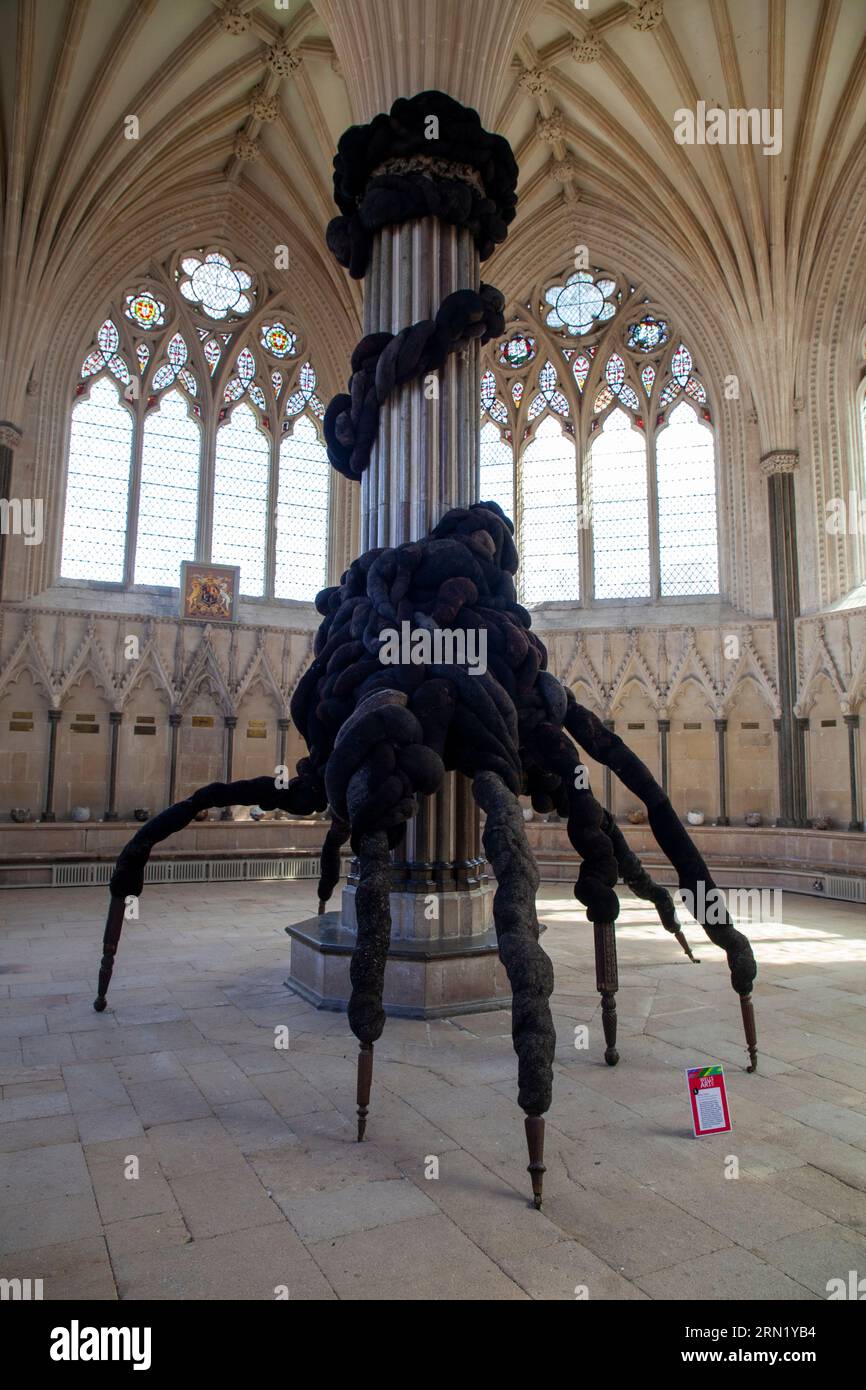 L. Nicola Turner - El invitado no invitado del pasado inrecordado en Wells Art Contemporary (WAC), Wells Cathedral, en Wells Somerset Foto de stock