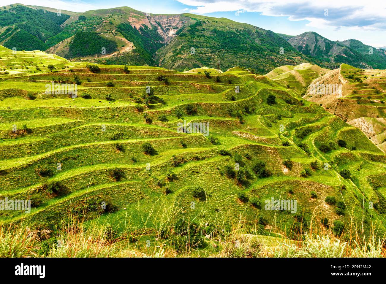 Paisaje de las montañas del Cáucaso Norte en Daguestán con terrazas verdes Foto de stock