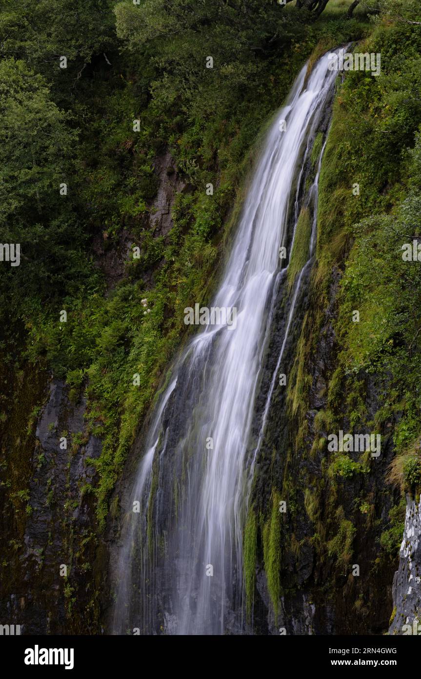 Cascada Grande, Mont-Dore, Puy-de-Dome departamento, Auvernia-Ródano-Alpes región, FRANCIA Foto de stock