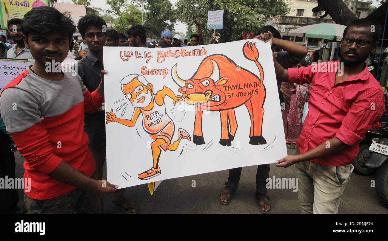 (170121) -- CHENNAI, 20 de enero de 2017 -- La gente sostiene un cartel del primer ministro indio Narendra Modi para protestar contra la prohibición de Jallikattu por la Corte Suprema en Chennai, India, 20 de enero de 2017. Las protestas exigiendo el levantamiento de la prohibición de Jallikattu, un deporte taurino que se intensificó el viernes con multitudes en el estado sureño de Tamil Nadu por cuarto día consecutivo. (Zxj) INDIA-CHENAI-JALLIKATTU BAN-PROTEST Stringer PUBLICATIONxNOTxINxCHN Chennai 20 2017 Ene Las celebridades sostienen un cartel de los primeros ministros indios Narendra Modos para protestar contra la prohibición DE Jallikattu por la Corte Suprema en Chenn Foto de stock