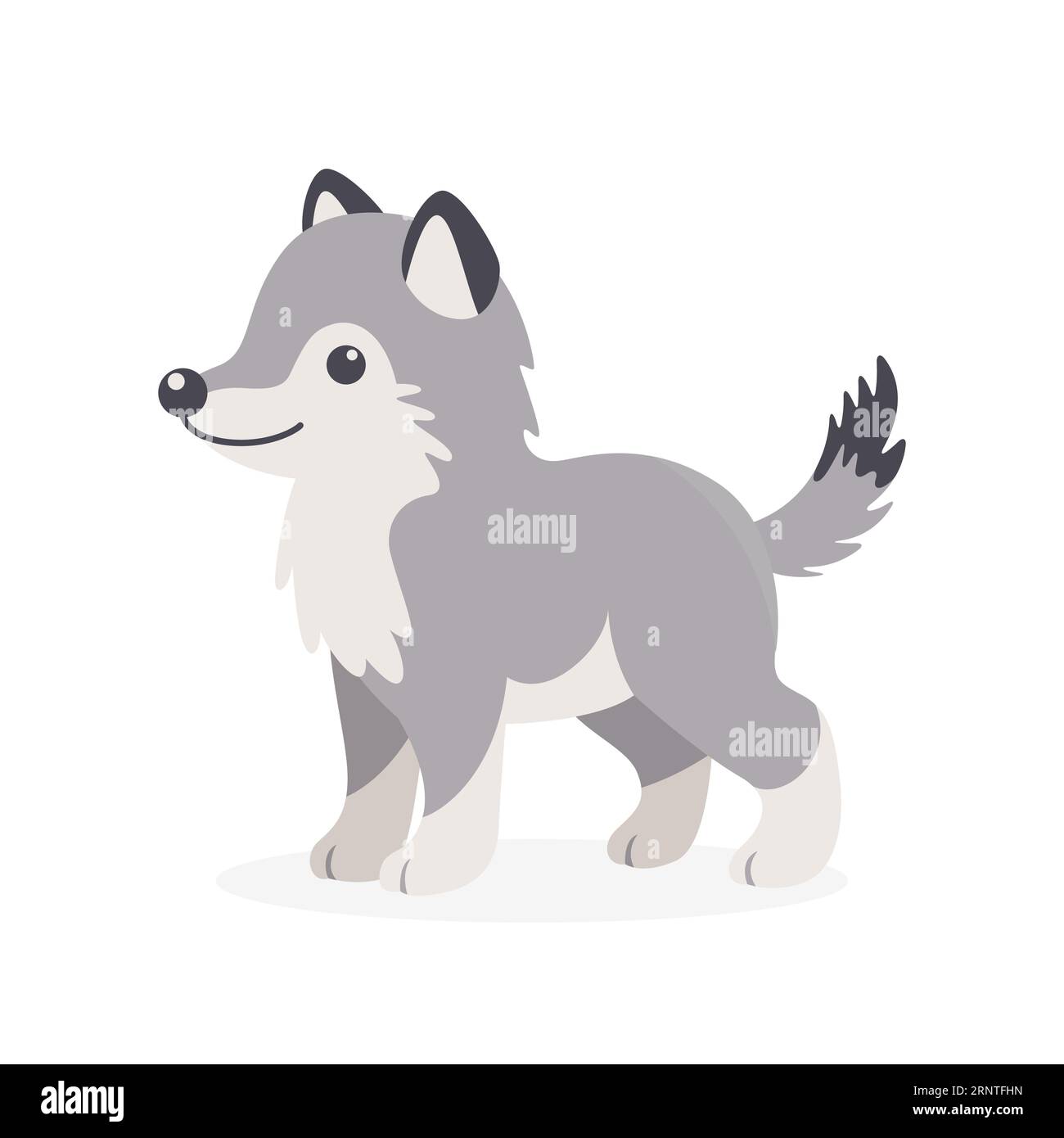 Vector plano lindo lobo. Pequeño lobo o perro icono. Adorable personaje de dibujos animados lobo caminando aislado en fondo blanco, vista lateral Ilustración del Vector