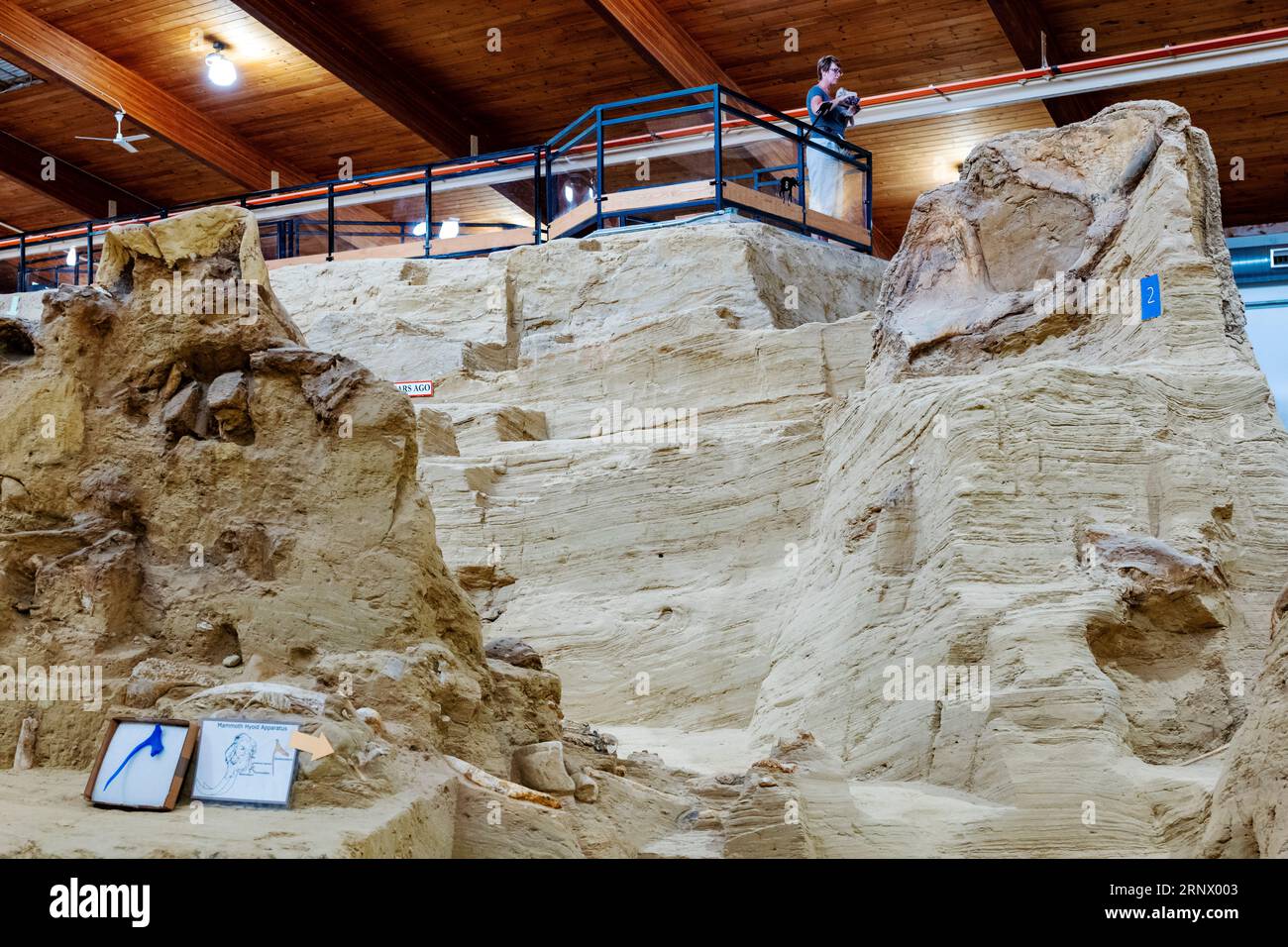 Los visitantes ven el Mammoth Site; museo y sitio paleontológico; Hot Springs; Dakota del Sur; Estados Unidos Foto de stock