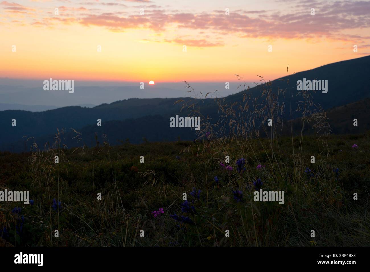 Hermoso paisaje de montaña al amanecer en los Cárpatos Foto de stock