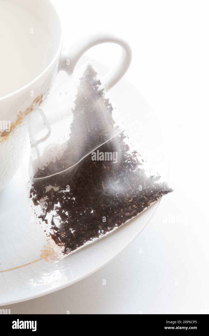 Primer plano de una bolsita de té biodegradable en la taza y platillo de Find Bone china, 2023, EE.UU Foto de stock