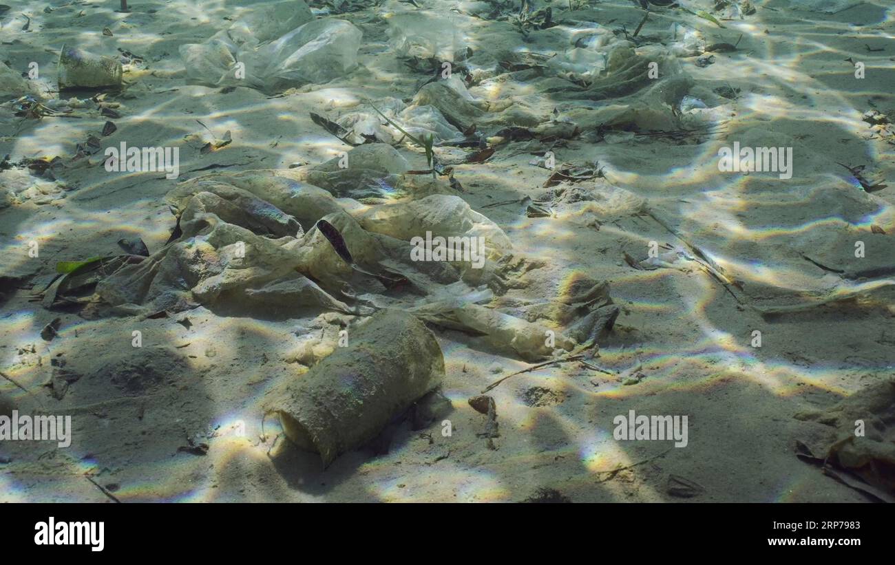 La basura plástica se encuentra en el fondo arenoso-limo del mar en aguas poco profundas en el día soleado brillante en el resplandor del sol. Fondo marino contaminado con plástico y otros residuos Foto de stock