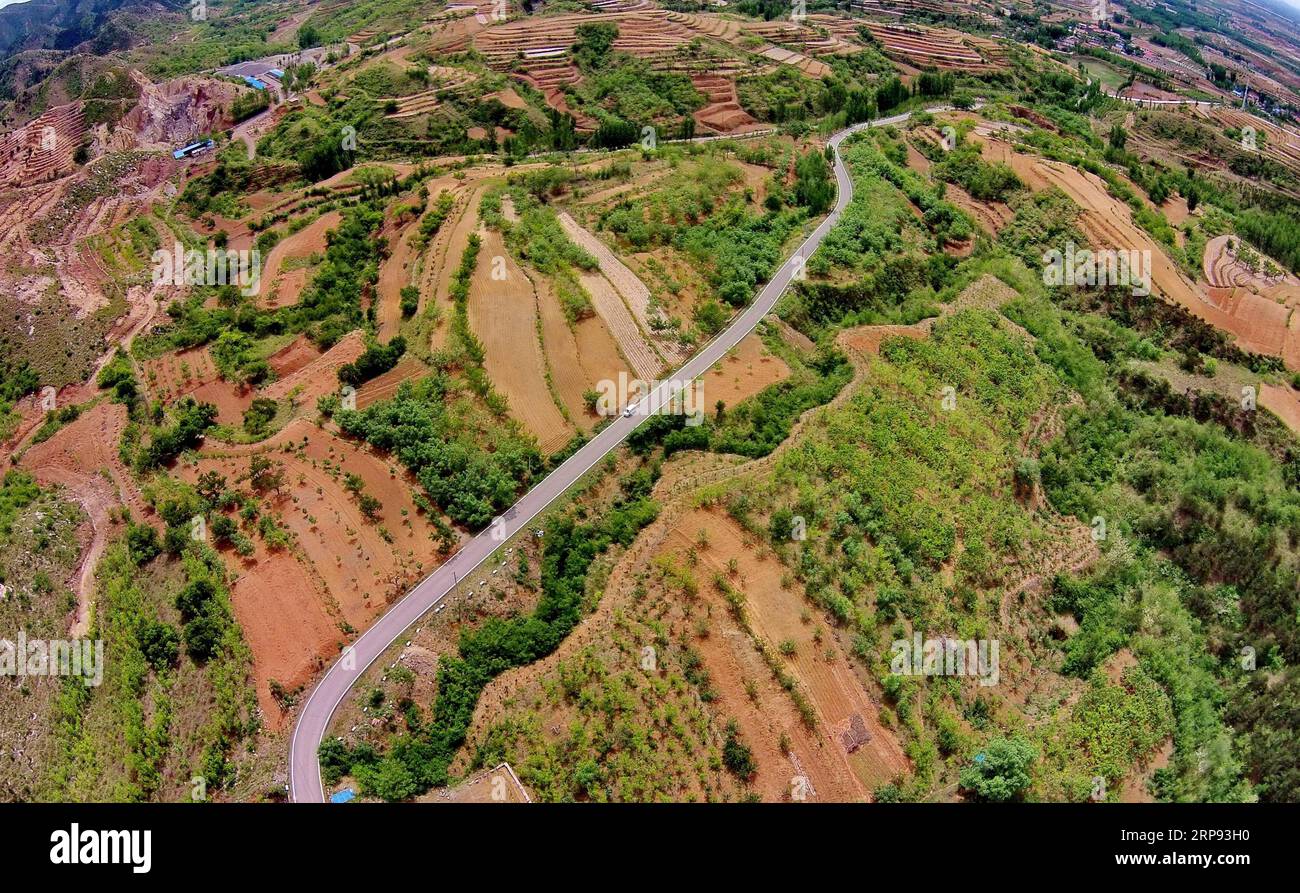 (190322) -- PEKÍN, 22 de marzo de 2019 (Xinhua) -- Foto tomada el 16 de mayo de 2016 muestra la escena de la aldea de Dazhuang en la ciudad de Qian An, provincia de Hebei, al norte de China. El gobierno local hizo esfuerzos en la forestación para mejorar el medio ambiente y generar ingresos para los aldeanos. El mundo se ha convertido en un lugar más verde de lo que era hace 20 años, en gran parte gracias a los esfuerzos de reforestación de China, que son lo suficientemente ambiciosos como para tener un impacto significativo en la misión mundial de reducir las emisiones de carbono. Cada 21 de marzo, las Naciones Unidas (ONU) conciencian sobre la importancia de todos los tipos de bosques, ofreciendo un Foto de stock