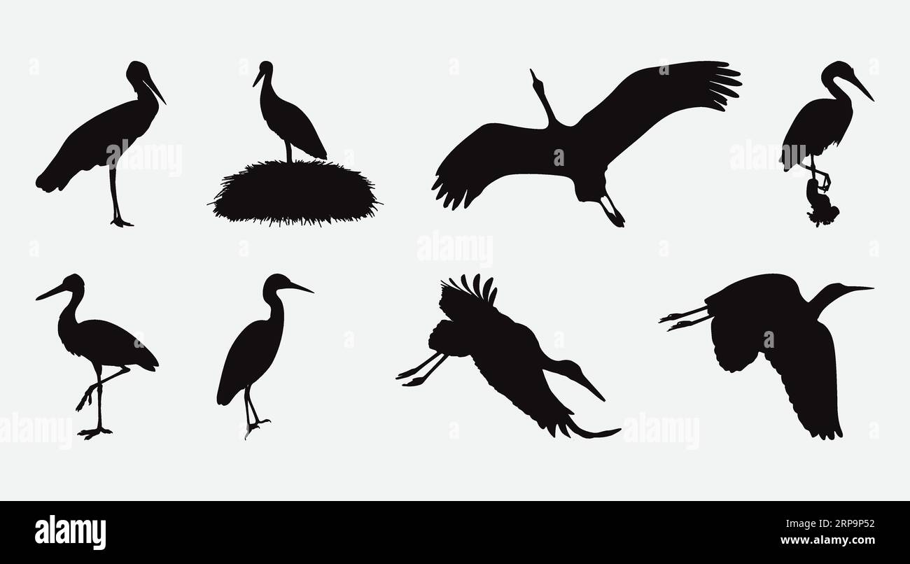 Graceful Stork Silhouettes, Un completo conjunto de elegantes ilustraciones de aves para varios proyectos de diseño Ilustración del Vector