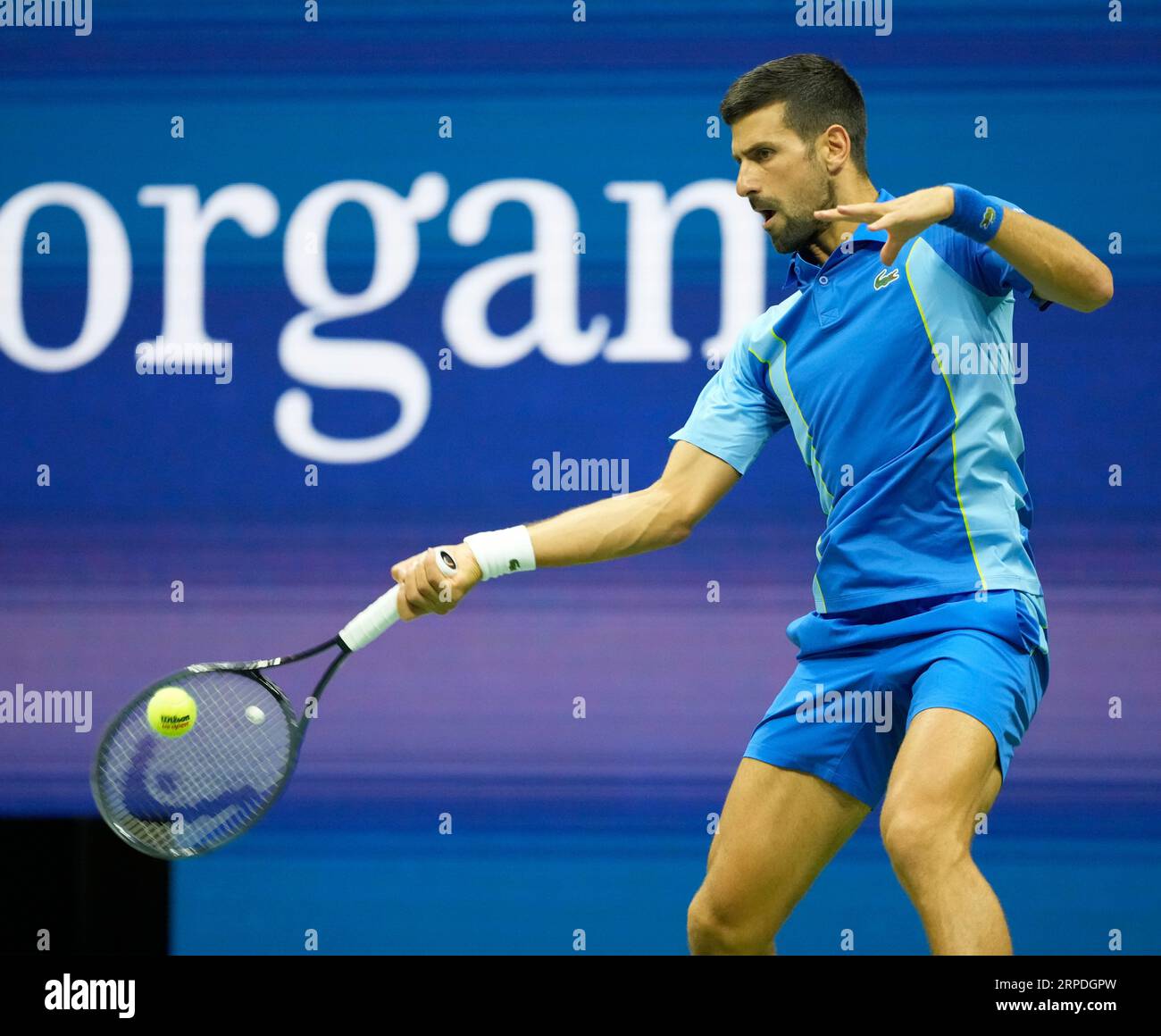 3 de septiembre de 2023: Novak Djokovic (SRB) derrotó a Borna Gojo (CRO ...