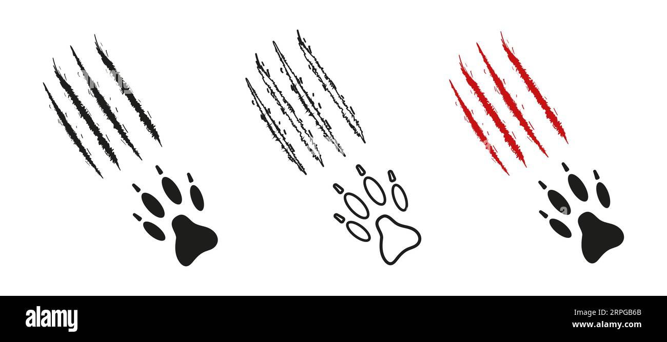 Perro o Wolf Paw impresión con arañazos. Silueta negra, contorno, color rojo. Marcas de garras, cortes, heridas. Pata de animal salvaje, coyote, zorro, tigre, león, gato, puma, leopardo guepardo jaguar Vector aislado Ilustración del Vector