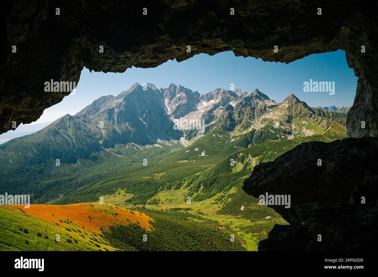 Belleza de los Altos Tatras: Serenidad en el corazón de los Tatras de Belianske, donde la cresta esmeralda se encuentra con un valle adornado con ricos bosques verdes. Foto de stock