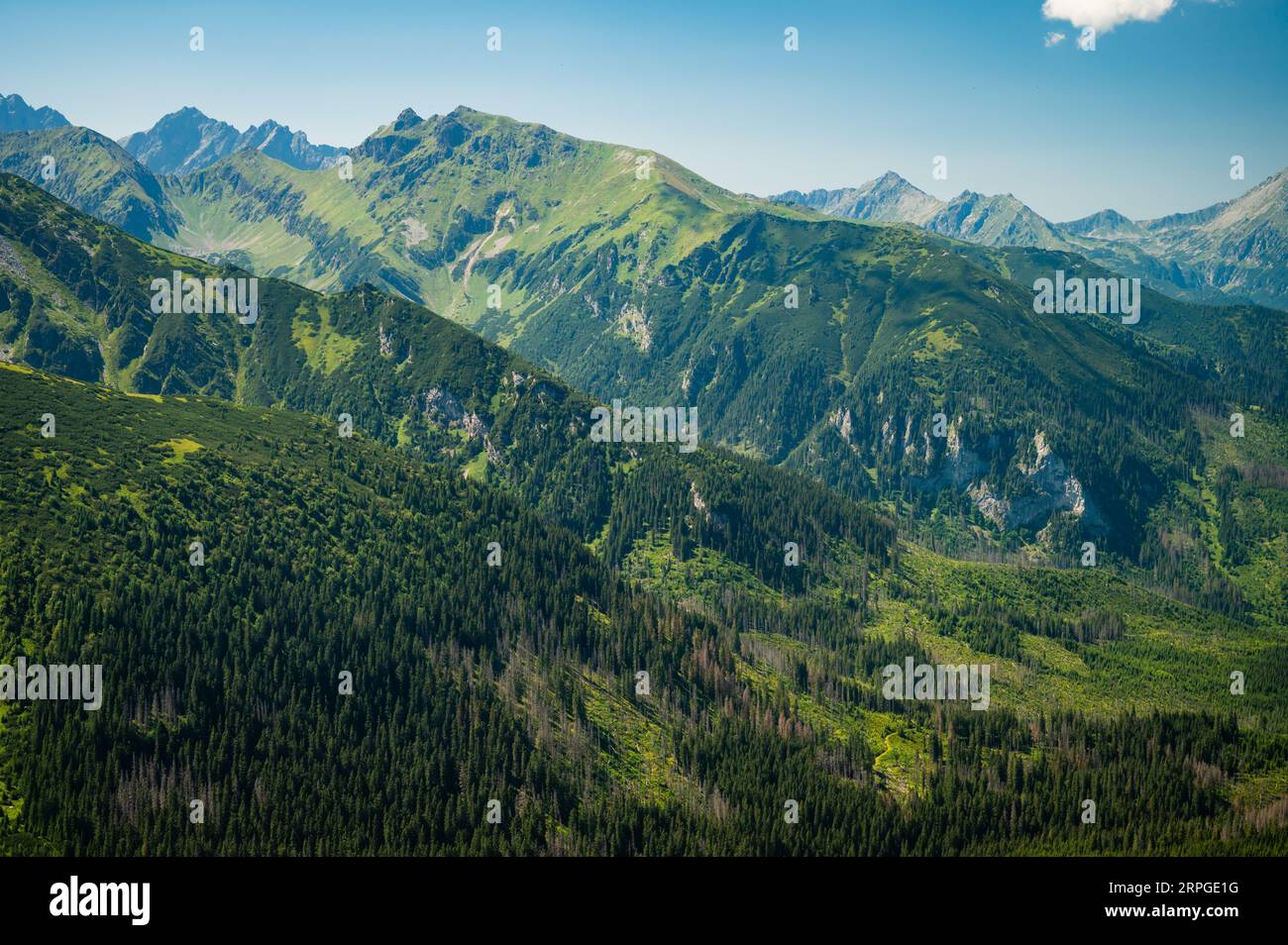 Altos Tatras, enmarcado por la belleza verde de los Tatras Belianske, una escena de pura magia de montaña debajo de un lienzo azul profundo Foto de stock