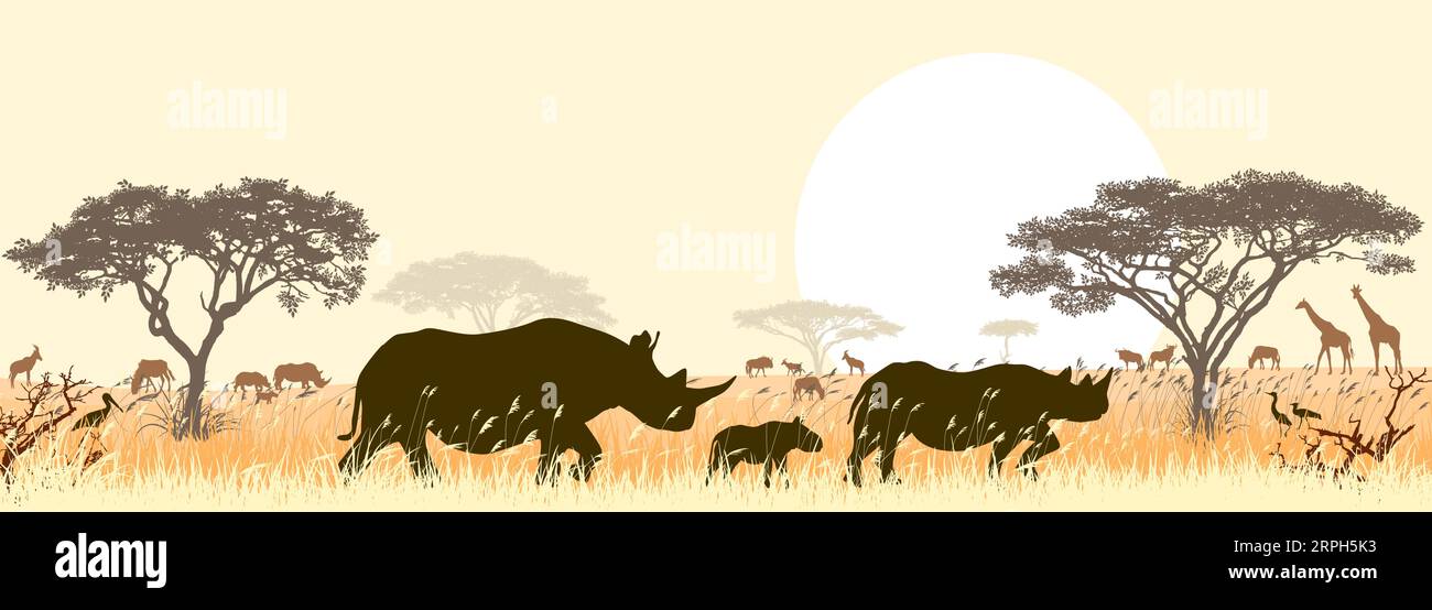 Una familia de rinocerontes africanos salvajes con el telón de fondo del sol y los árboles de sabana. Ilustración del Vector